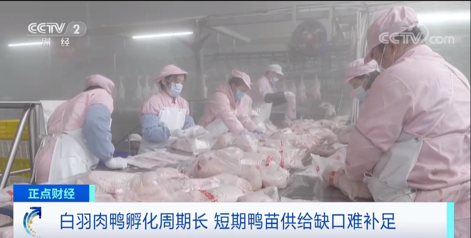 搶瘋了！漲價超300%，還得排一個月隊！