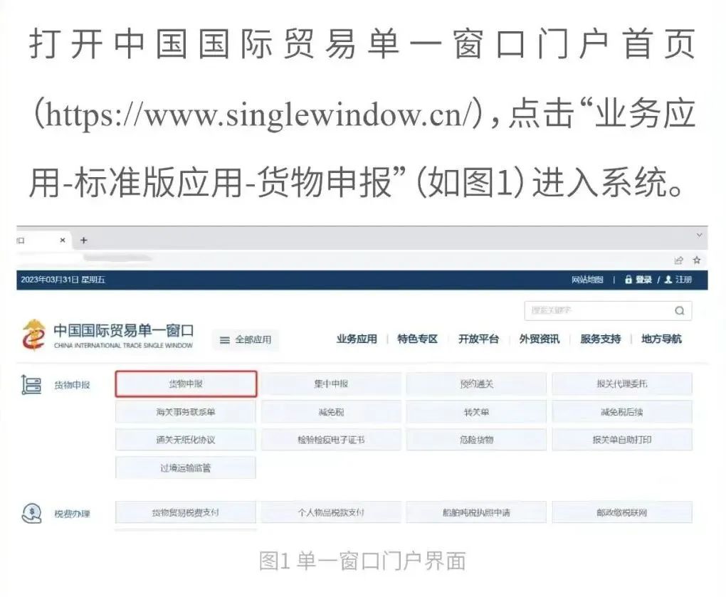 速看！進(jìn)口危化品填報(bào)要求更新了！