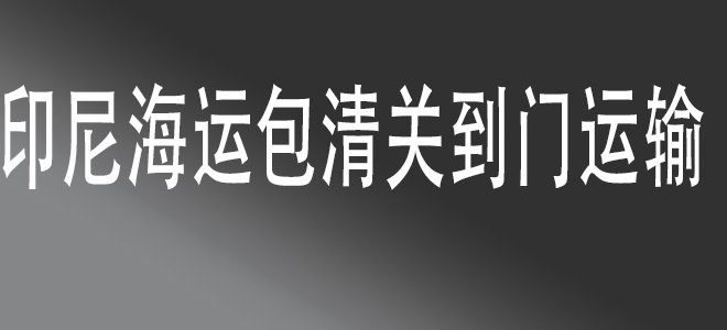  中國(guó)至印度尼西亞全鏈條物流服務(wù)：安全、高效、一站式解決方案