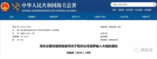 占臺灣出口總量97％！大陸緊急暫停進口臺灣菠蘿，一菠蘿專列開通