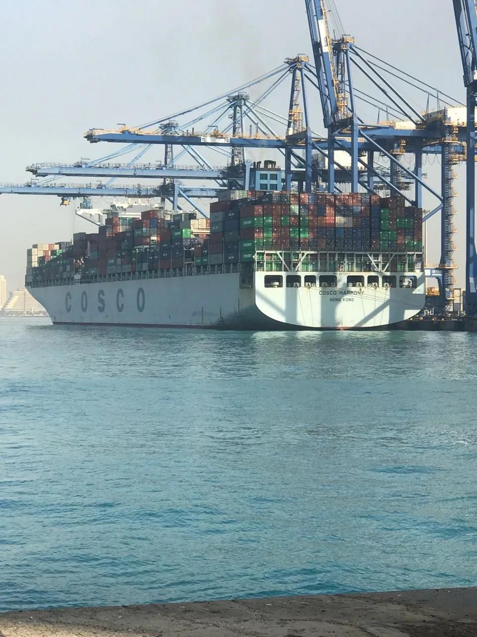 中遠(yuǎn)海運(yùn)港口收購(gòu)沙特紅海門(mén)戶碼頭20%股份，加強(qiáng)紅海地區(qū)布局