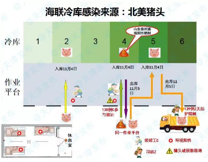 確定了！天津海聯(lián)冷庫感染來源為北美豬頭 | 浦東東航物流貨站通知