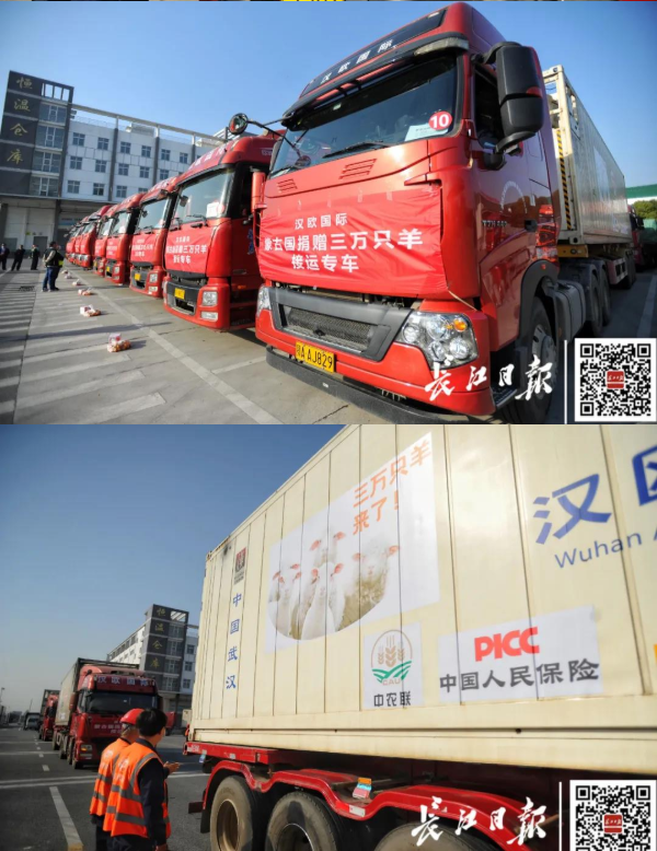 武漢10臺(tái)集裝箱冷鏈車出發(fā)，將接運(yùn)蒙古國捐贈(zèng)首批1.2萬只羊