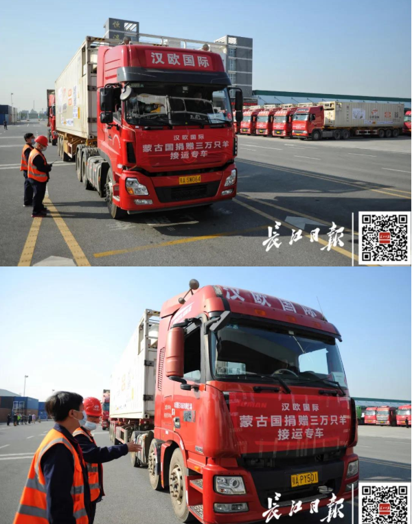 武漢10臺(tái)集裝箱冷鏈車出發(fā)，將接運(yùn)蒙古國捐贈(zèng)首批1.2萬只羊